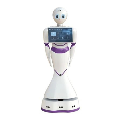humanoidbot image